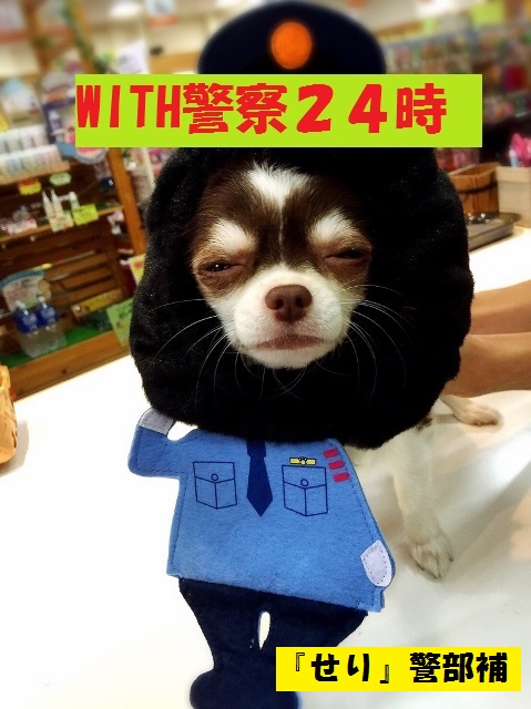 WITH警察２４時！