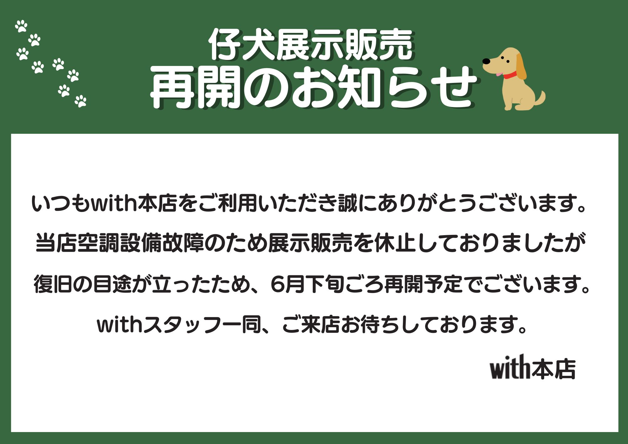 ☆with本店☆仔犬仔猫販売再開お知らせ