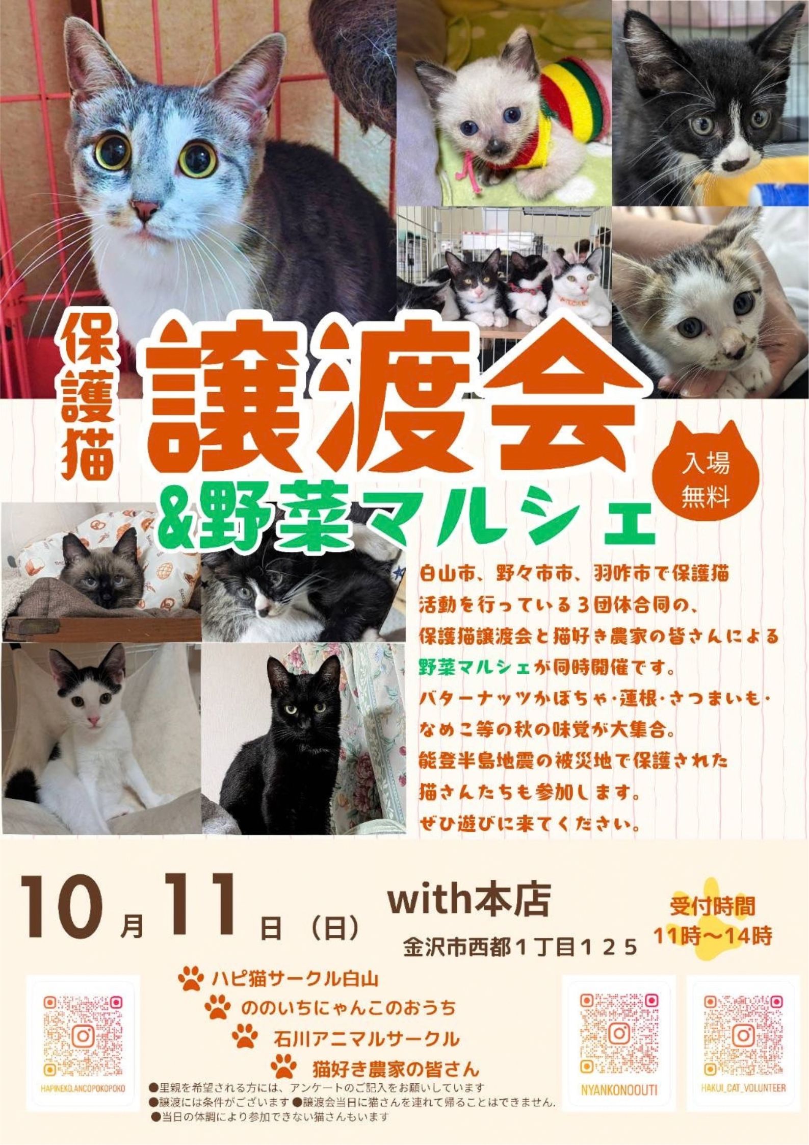 本店にて猫の譲渡会＆野菜マルシェ開催✨