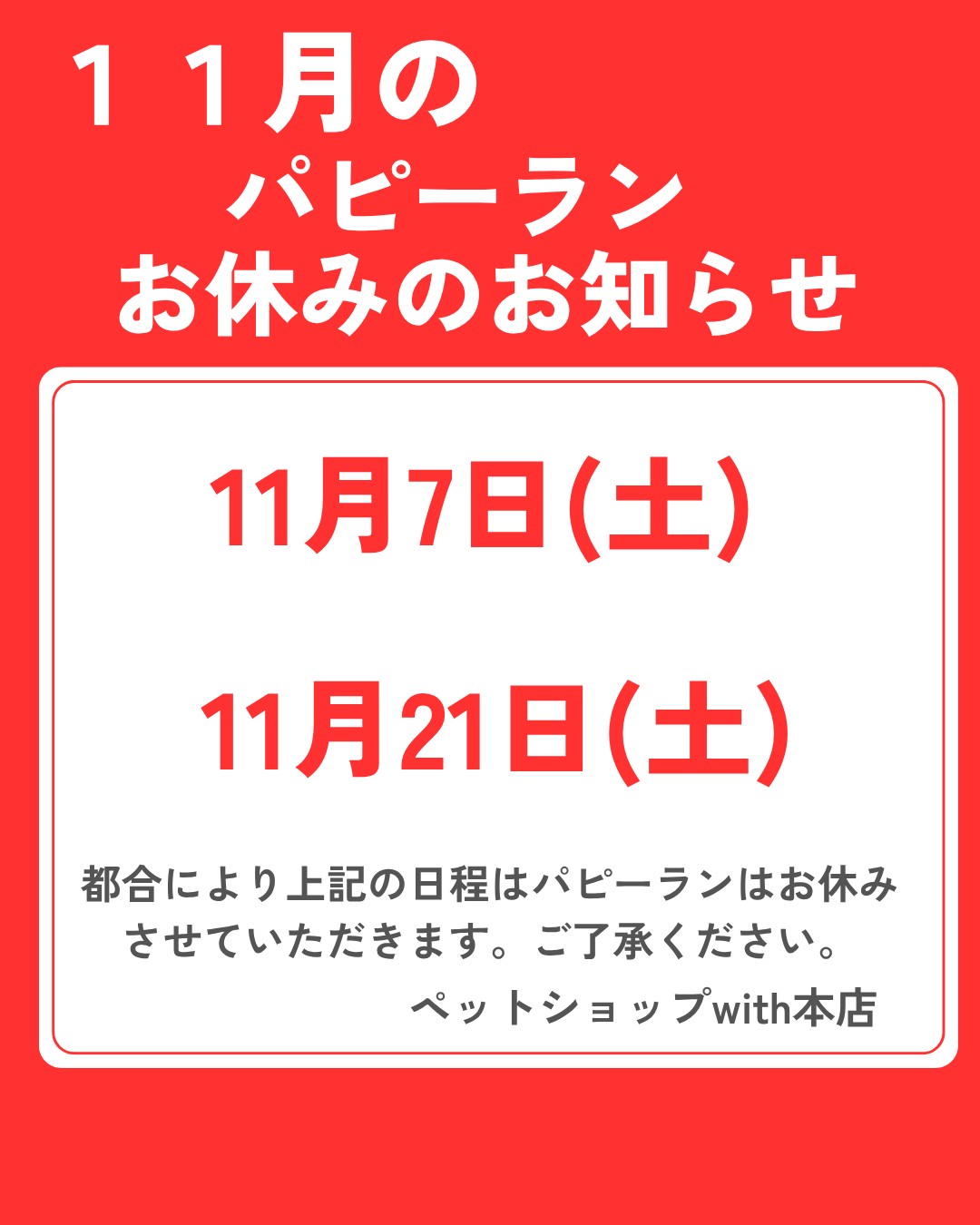 11月のパピーラン日程のお知らせ(*^^*)