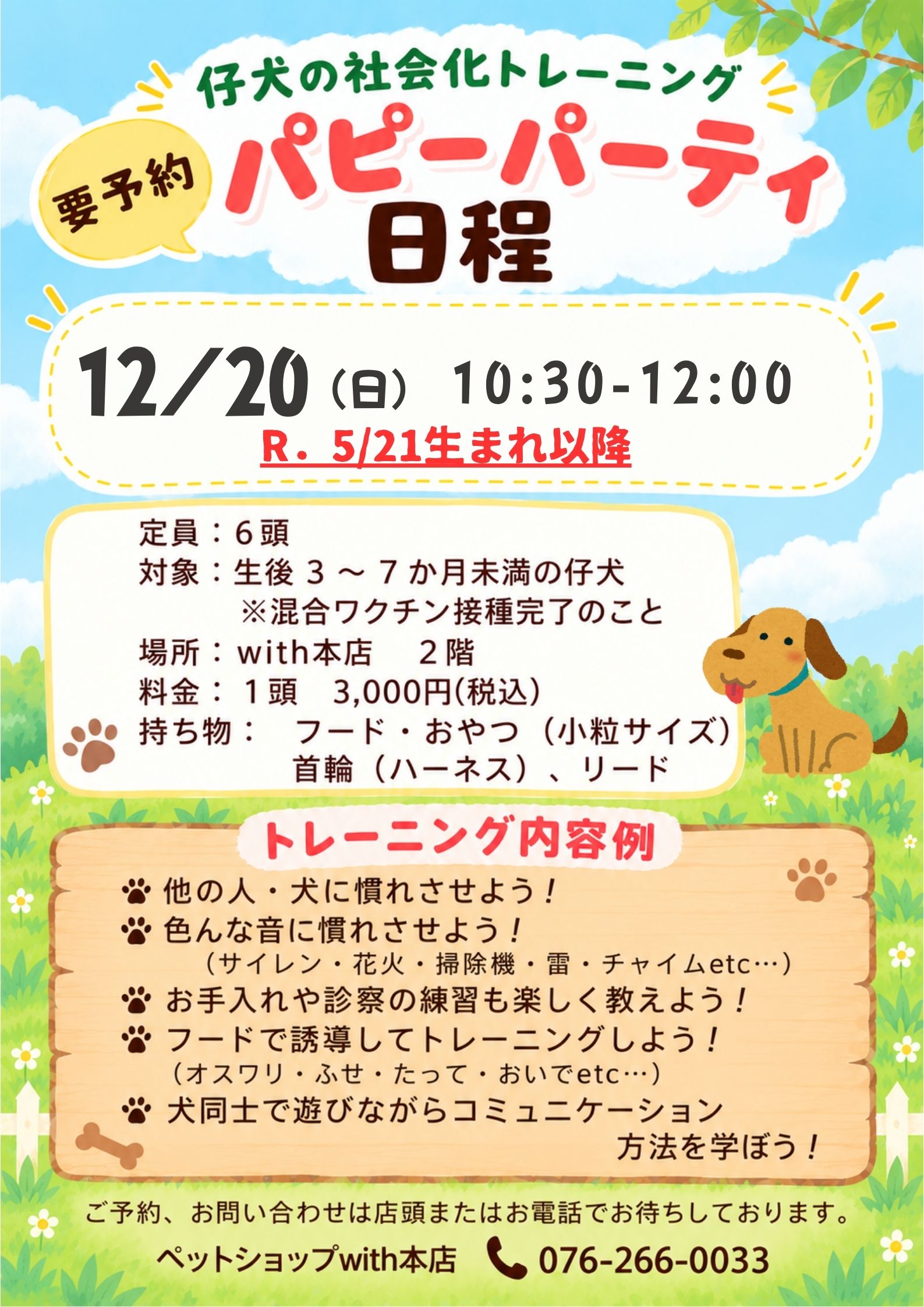 12月のパピーパーティのお知らせです(^○^)