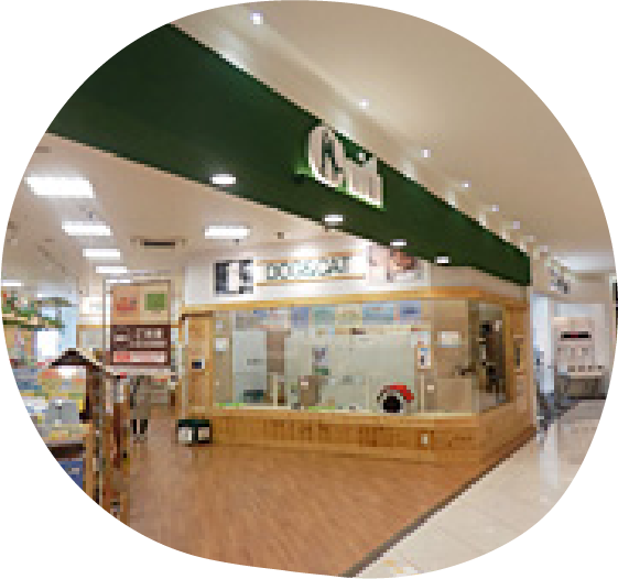 敦賀店 店舗一覧 ペットショップwith ウィズ 石川 福井の犬猫販売 ホテル トリミング しつけ